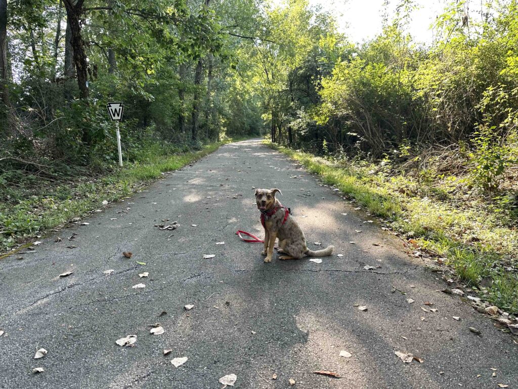 Fishing Line Trail in Kendallville