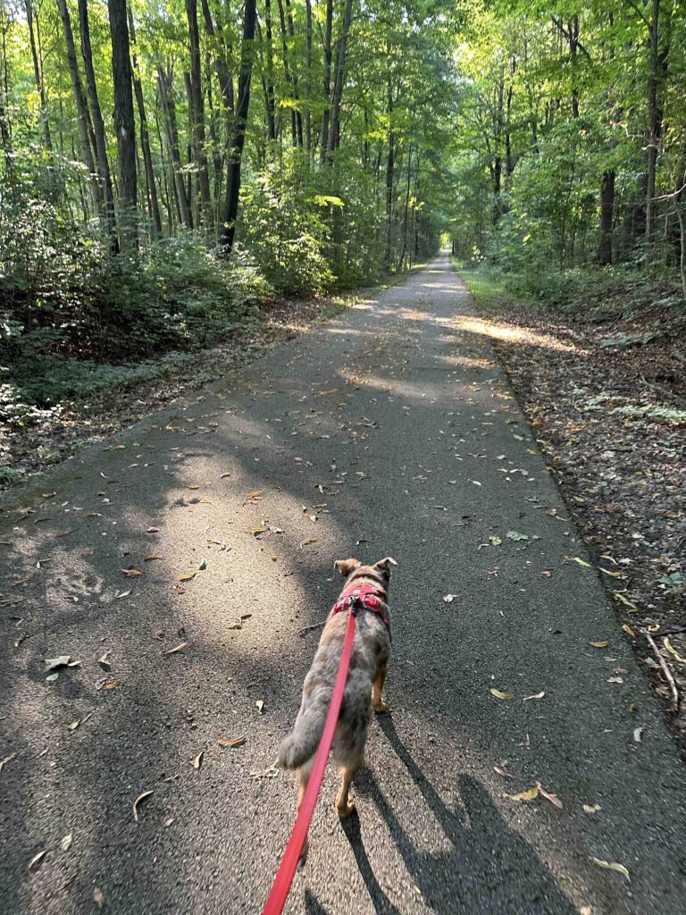 Fishing Line Trail