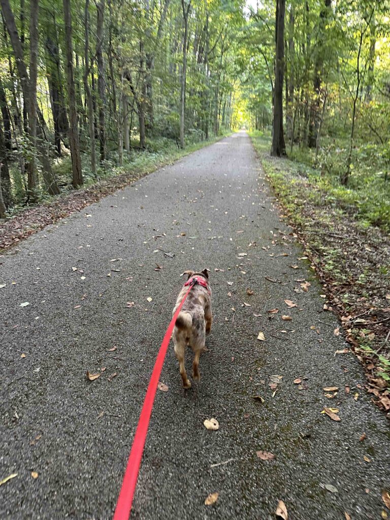 Fishing Line Trail