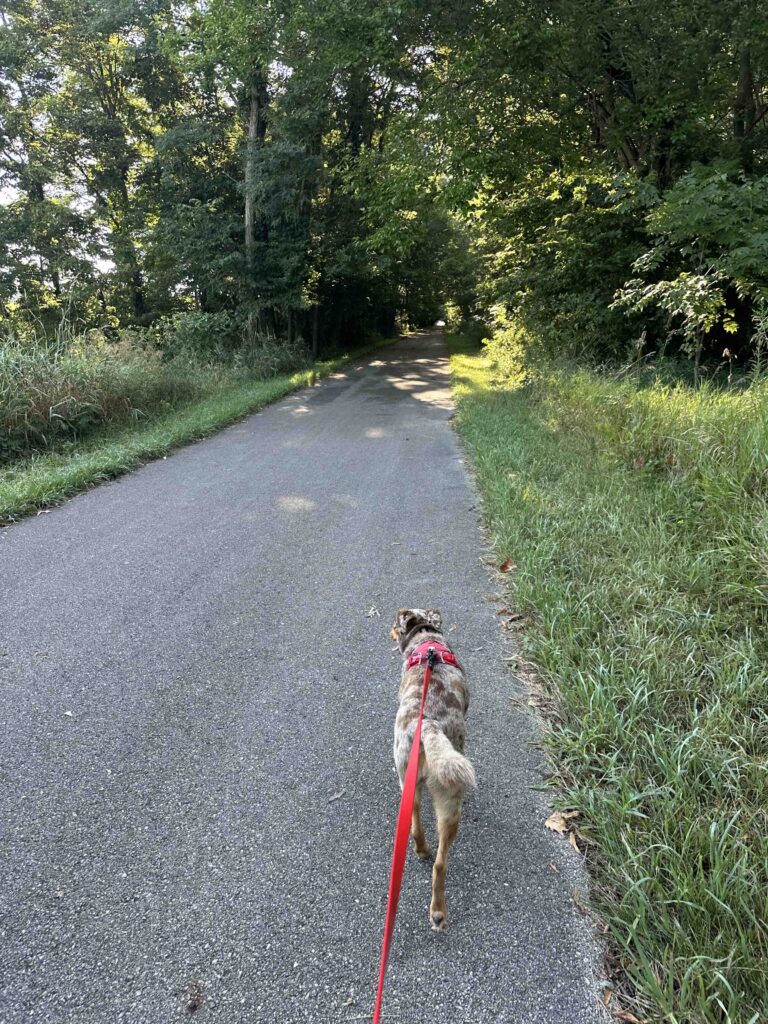 Fishing Line Trail in Kendallville