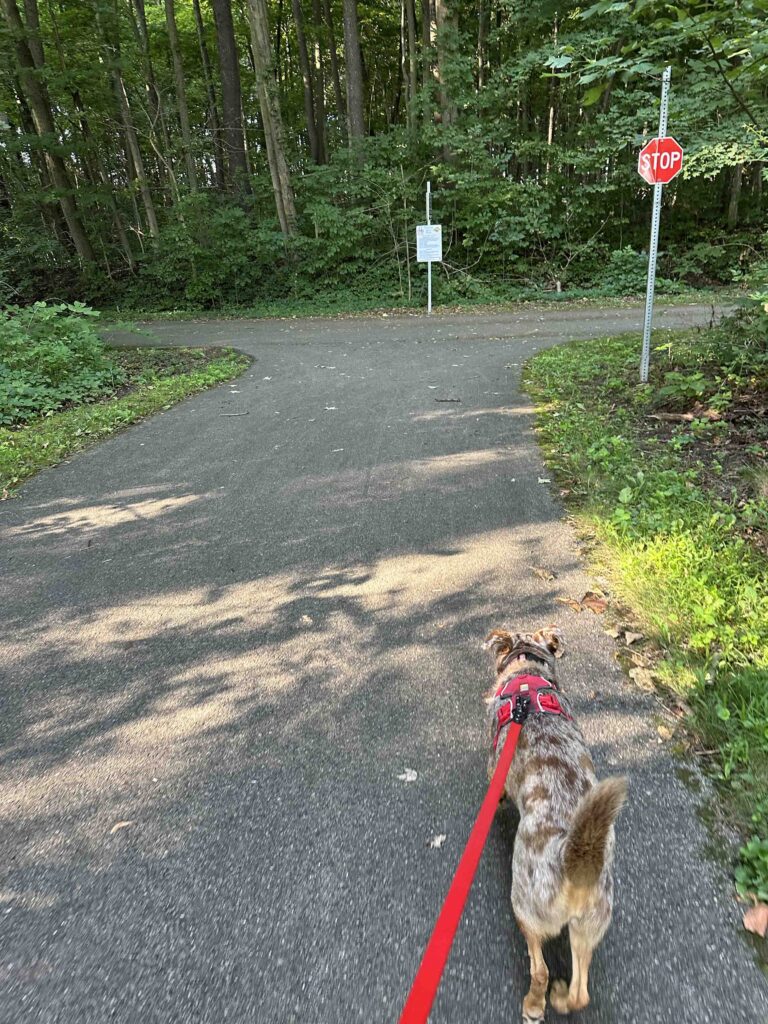 Which direction should we go?
