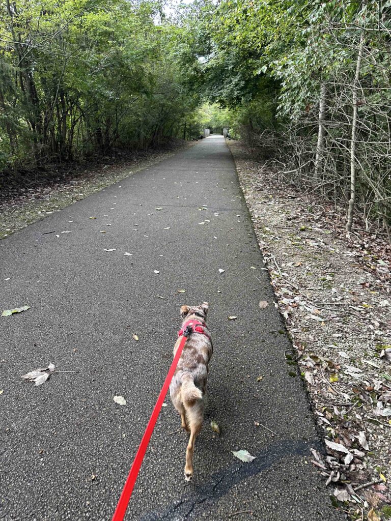 On the Nickel Plate trail