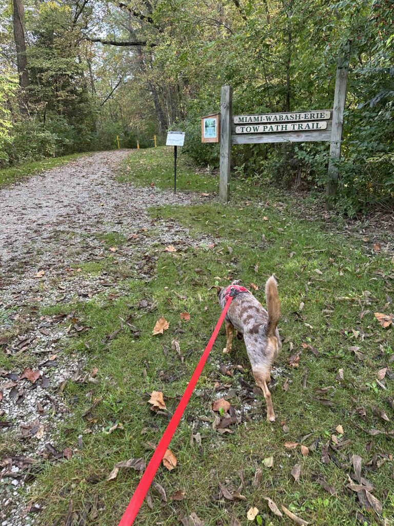 Towpath trail Independence Dam State Park