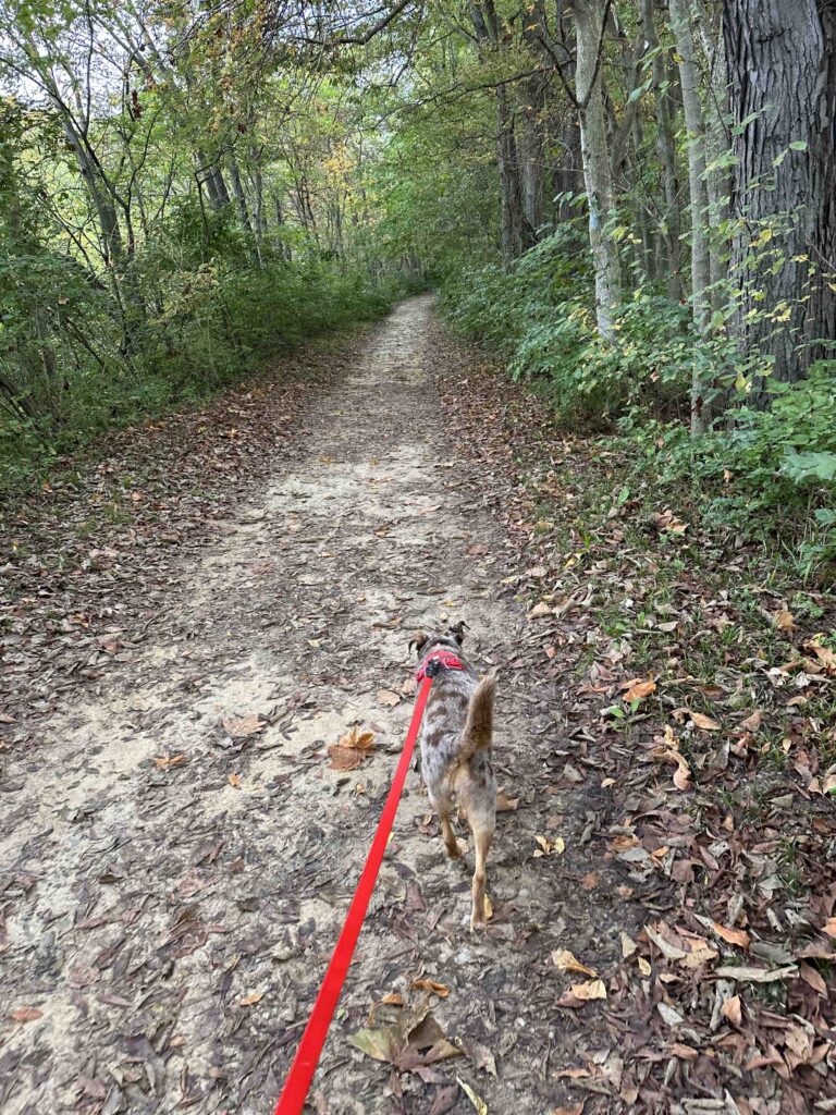 on the towpath at Independence Dam State Park