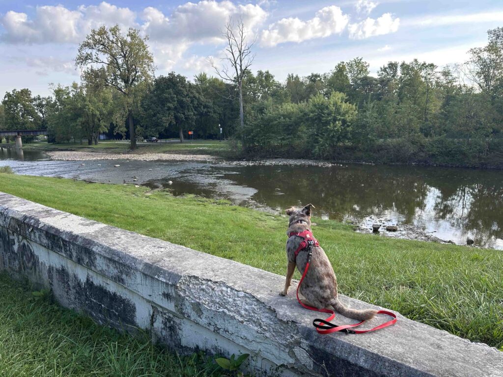 White River along Cardinal Greenway Trail - Indiana's Longest Trail