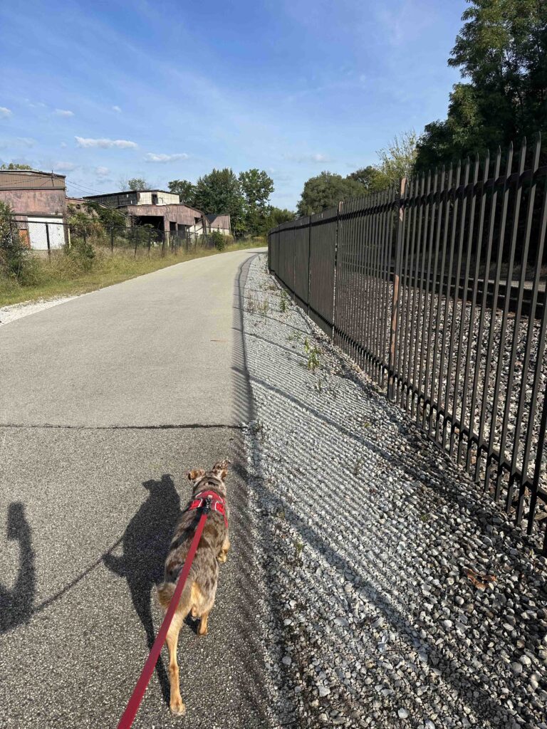back on the trail