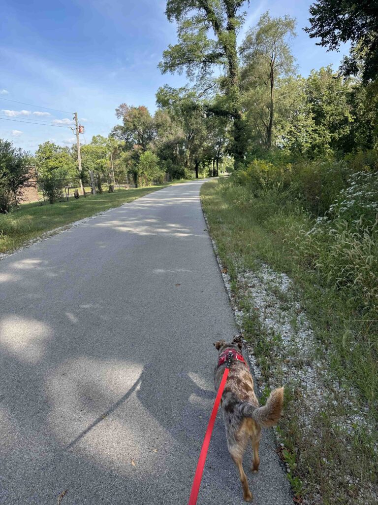 walking toward the White River trail