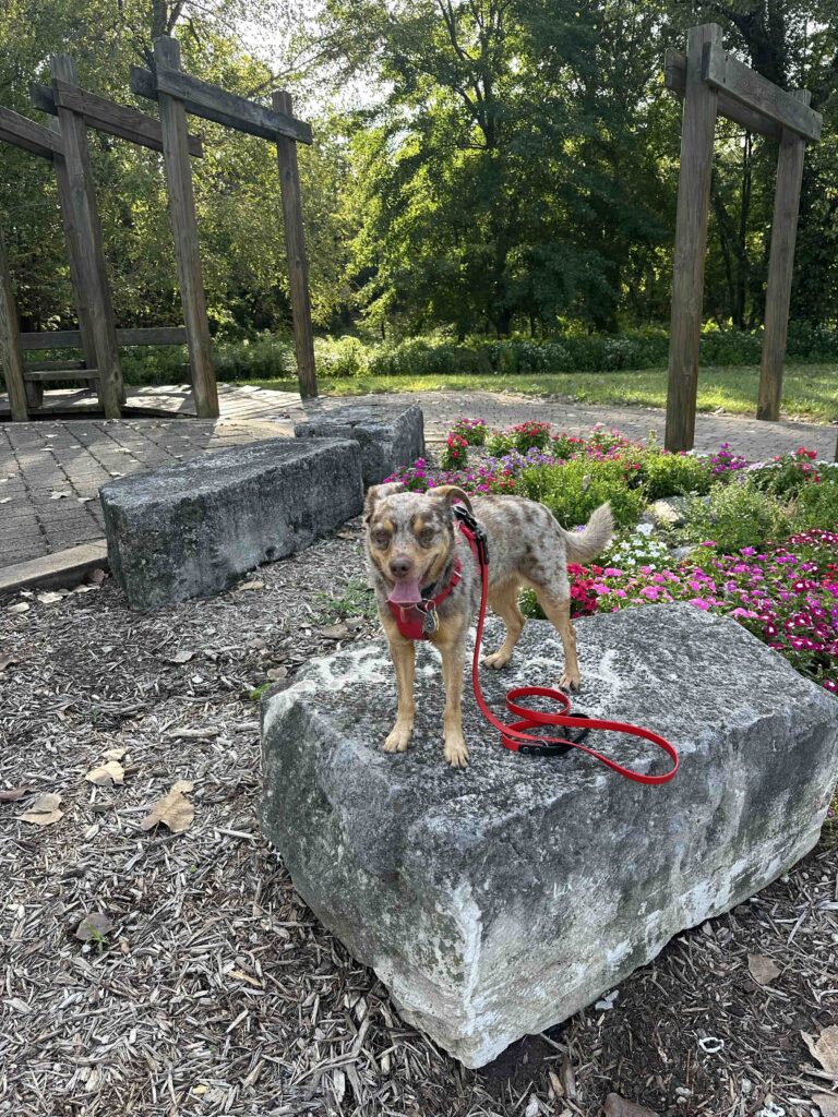 Greenway Pocket Park on Indiana's longest rail trail