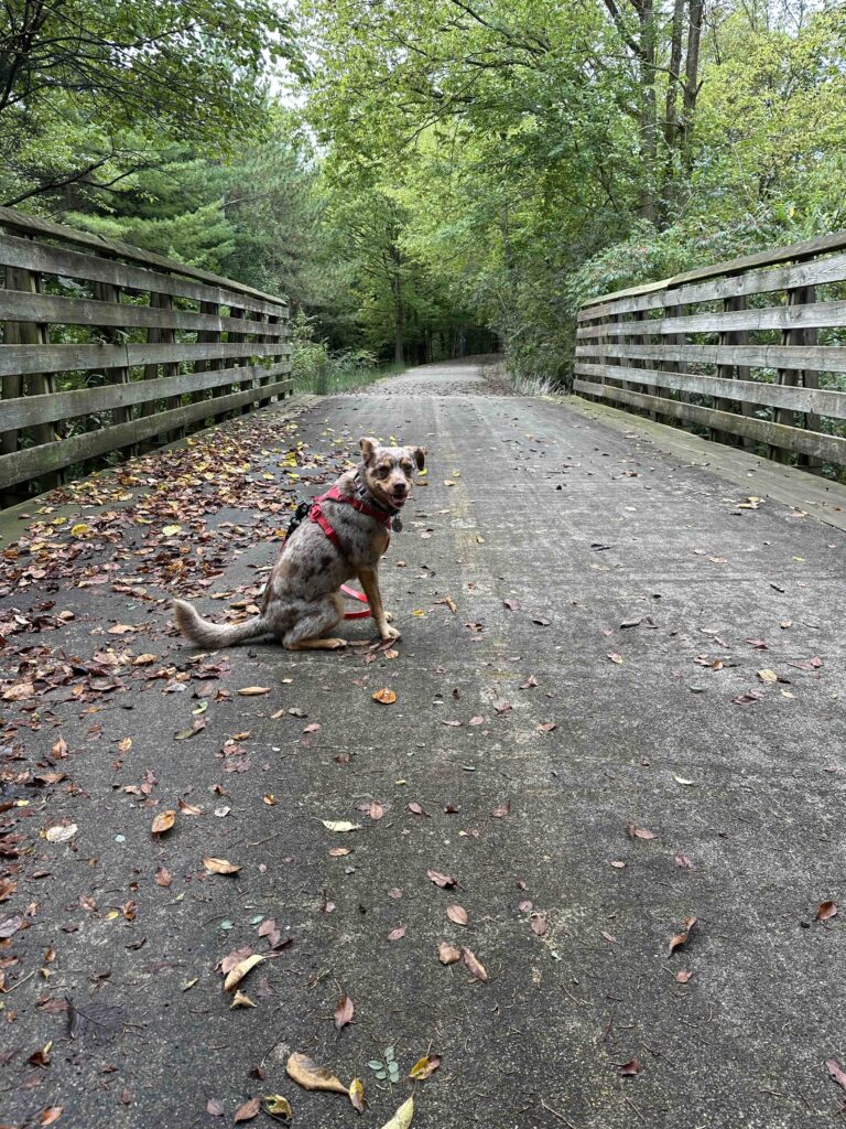 over the bridge