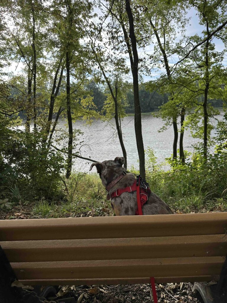sitting on a bench overlooking the Maumee River