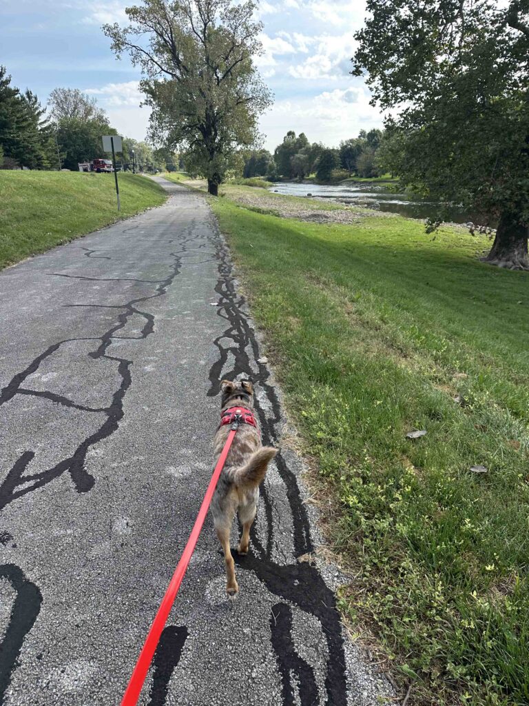 walking along the white river