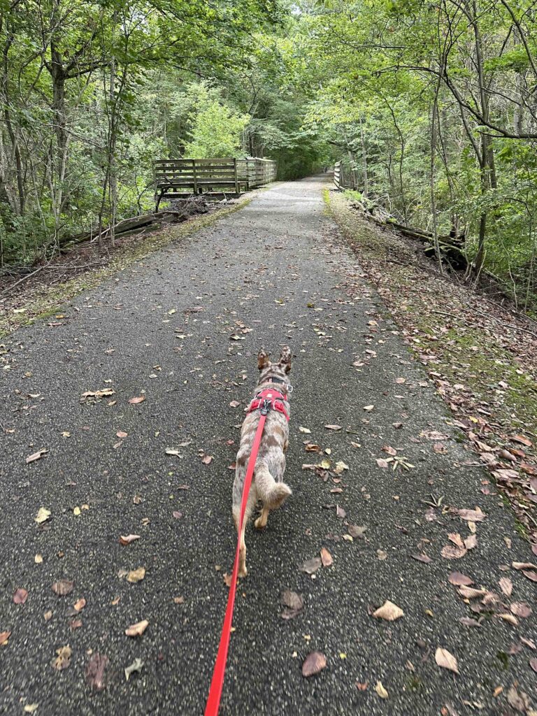 On the Nickel Plate trail