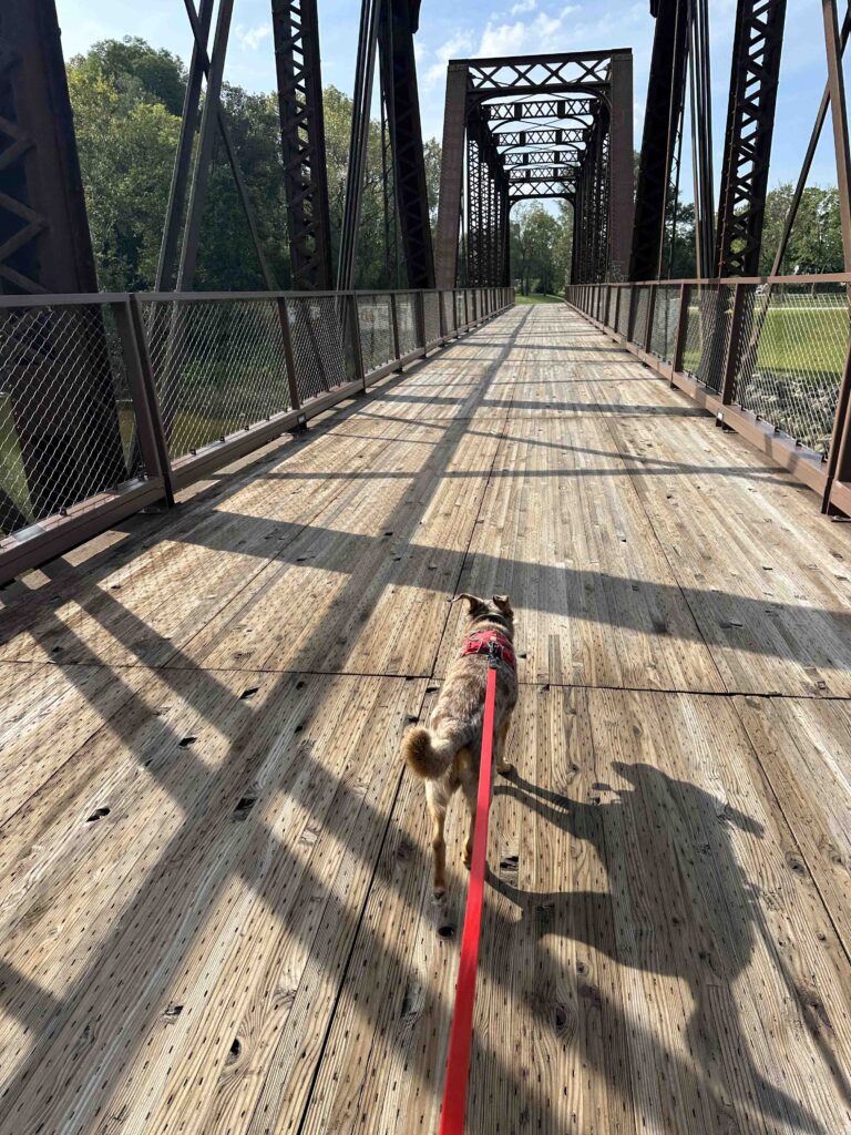 going across the bridge to the white river trail