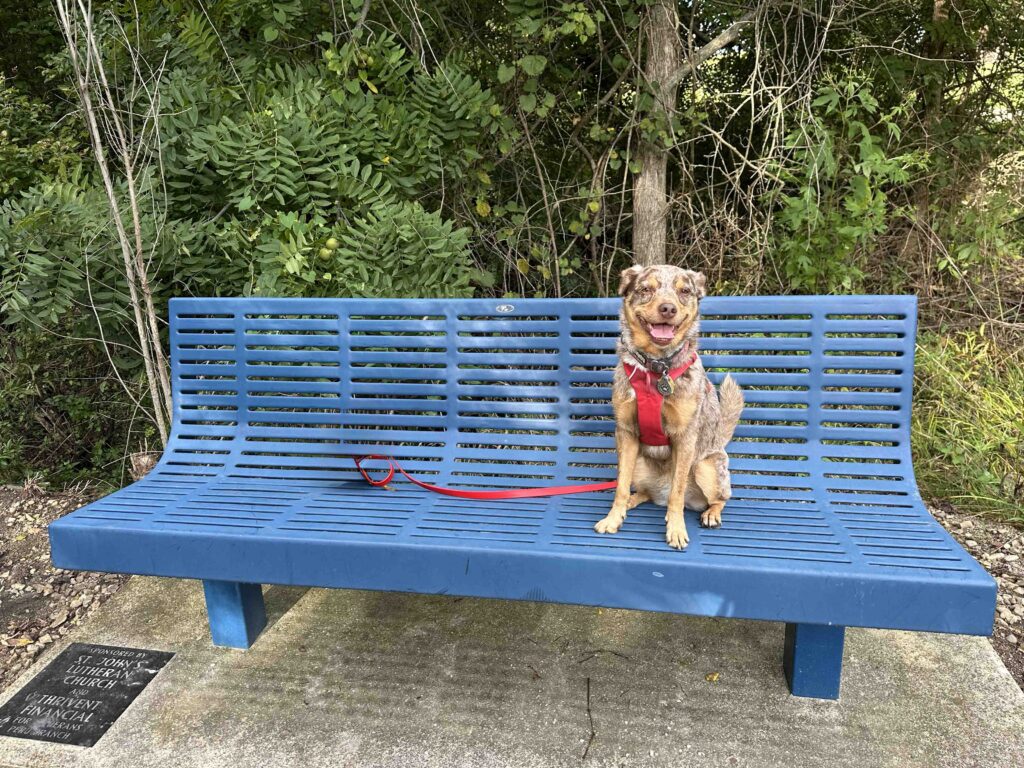 all smiles on the bench