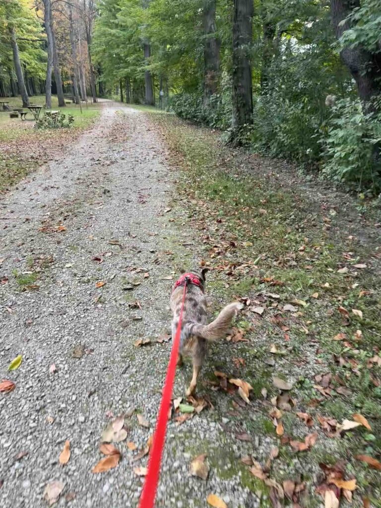 trail behind the campsites at Independence Dam State Park