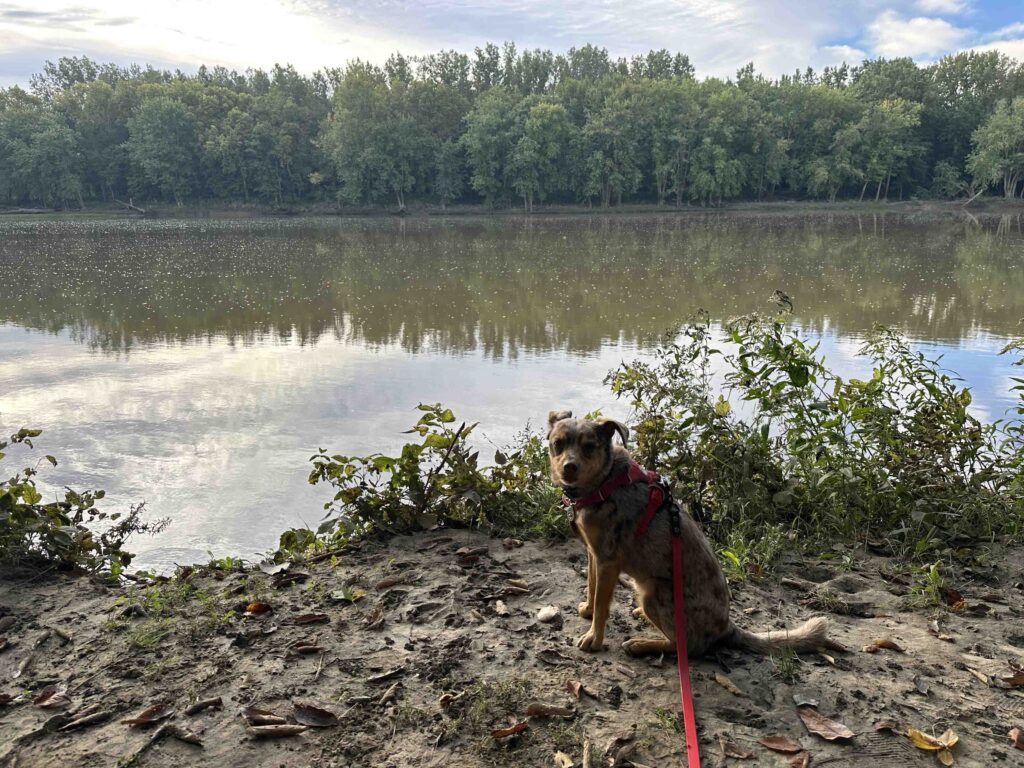 Sunny along the Maumee River