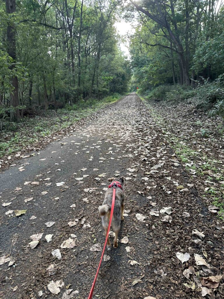On the Cardinal Greenways rail trail