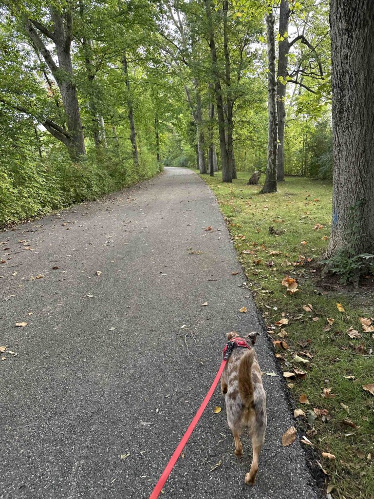 on the way to the towpath trail