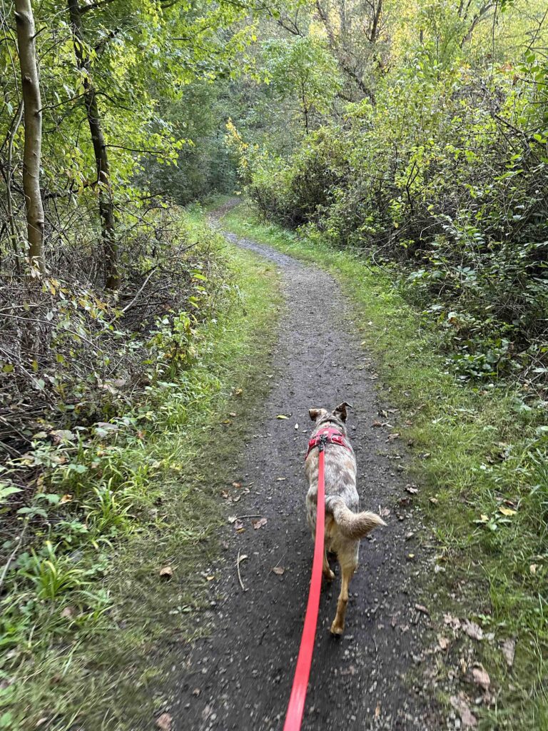 on trail 1