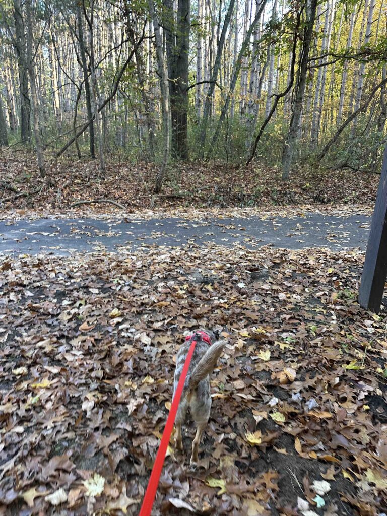 back to the Wabash Cannonball trail