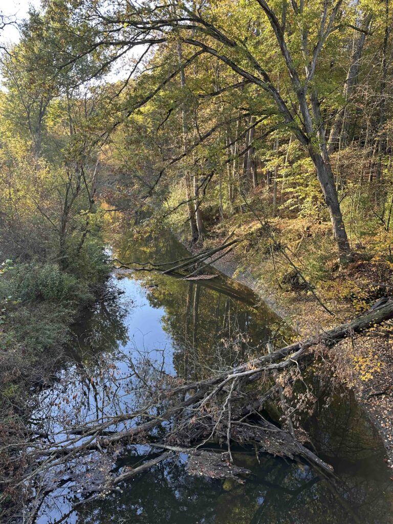 Swan Creek