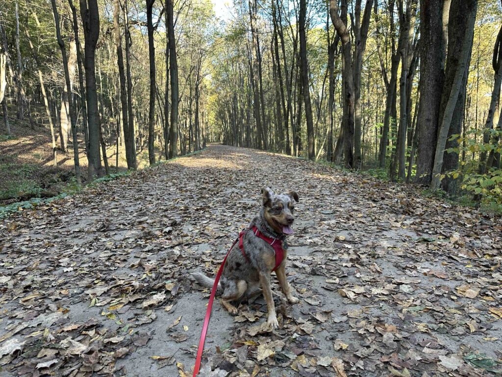 Kal-Haven State Park