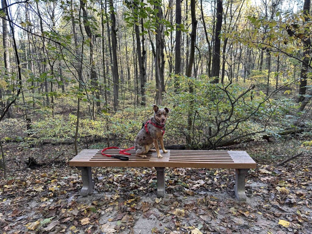 taking a break on the bench at Kal-Haven State Park