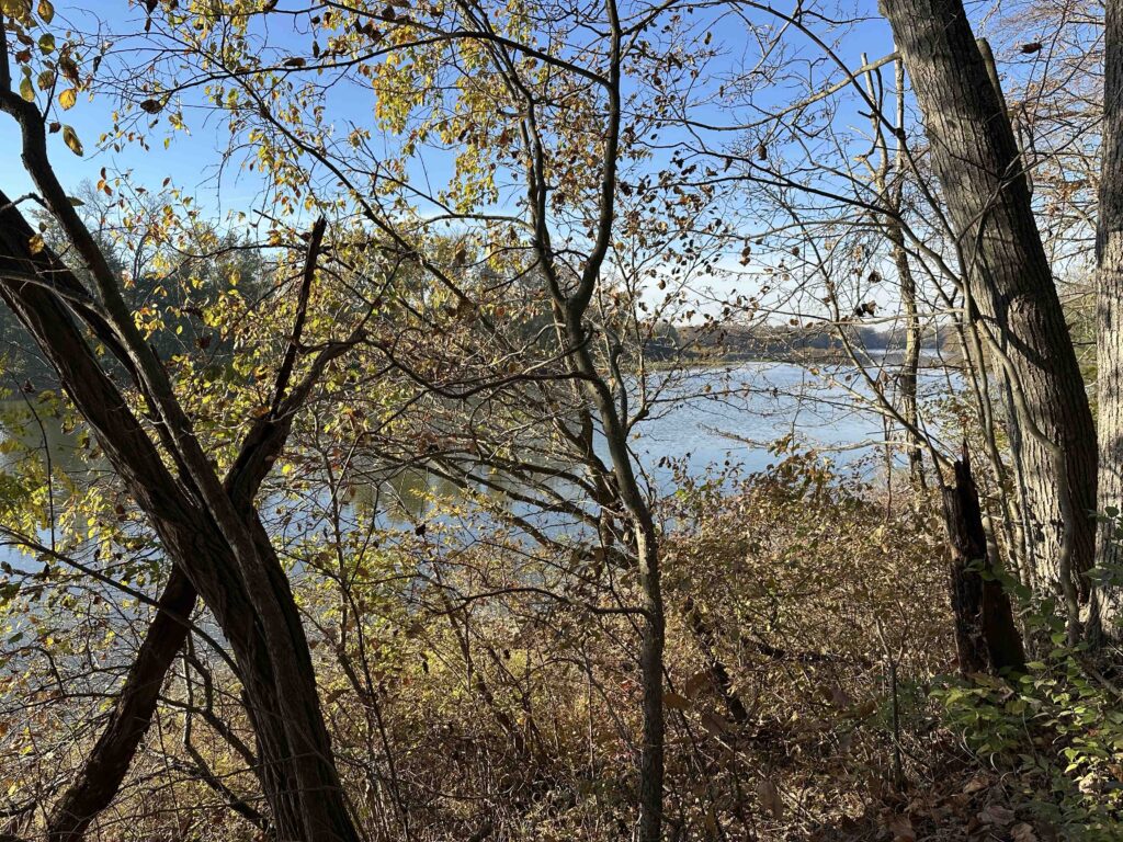Maumee River along the Towpath trail