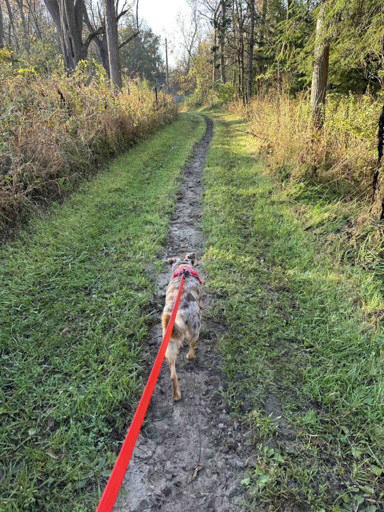 near the end of the trail