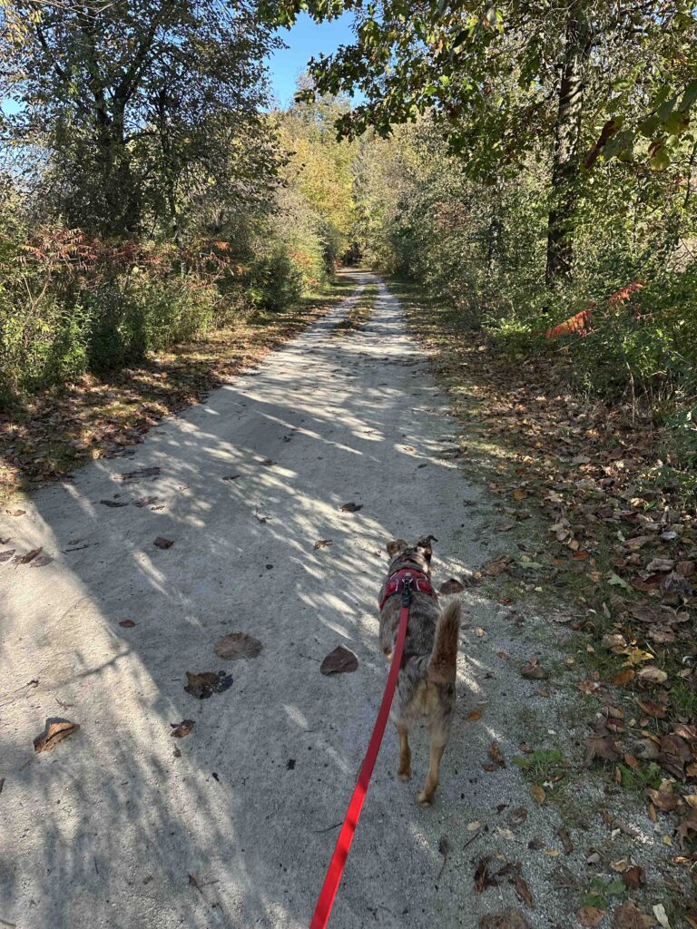 on the trail at Kal-Haven State Park