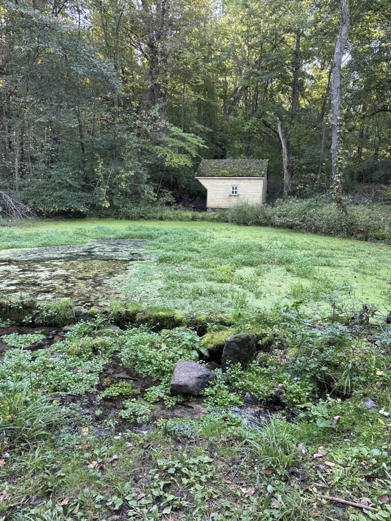 spring house
