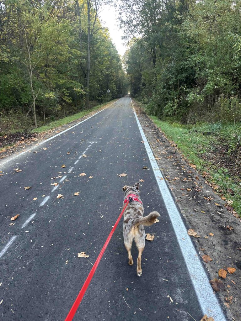 Wabash Cannonball Trail