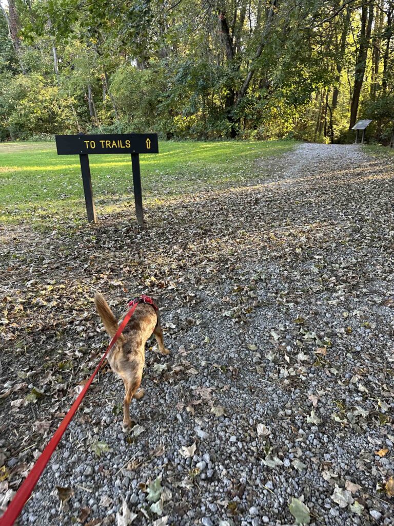 sign to the trails
