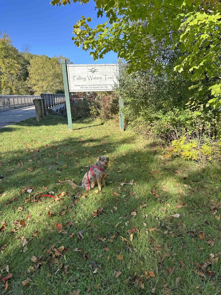 sign for Falling Waters Trail