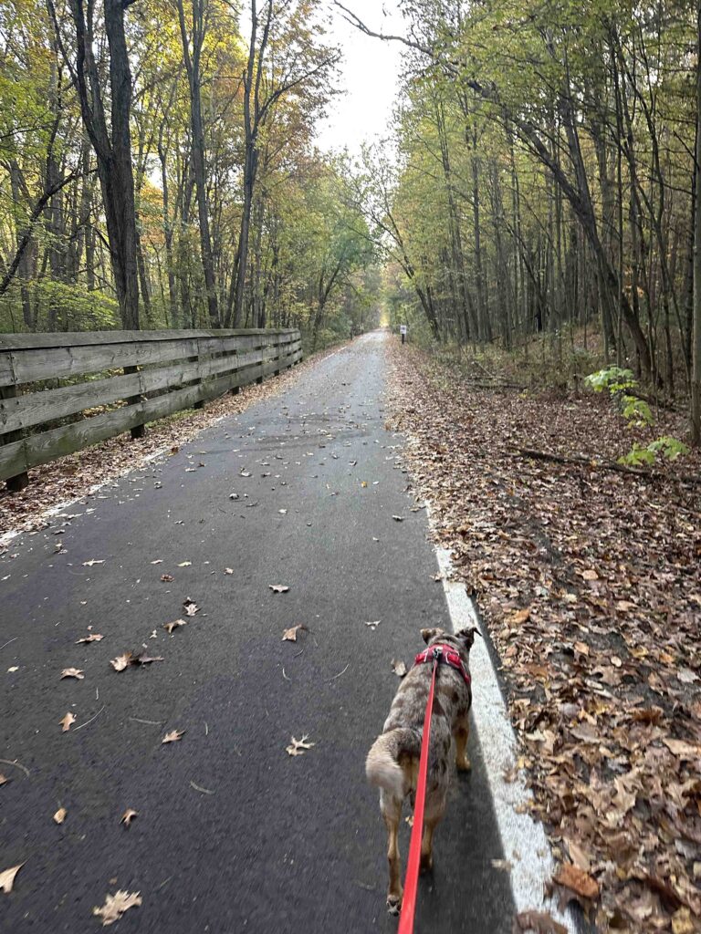 on the rail trail
