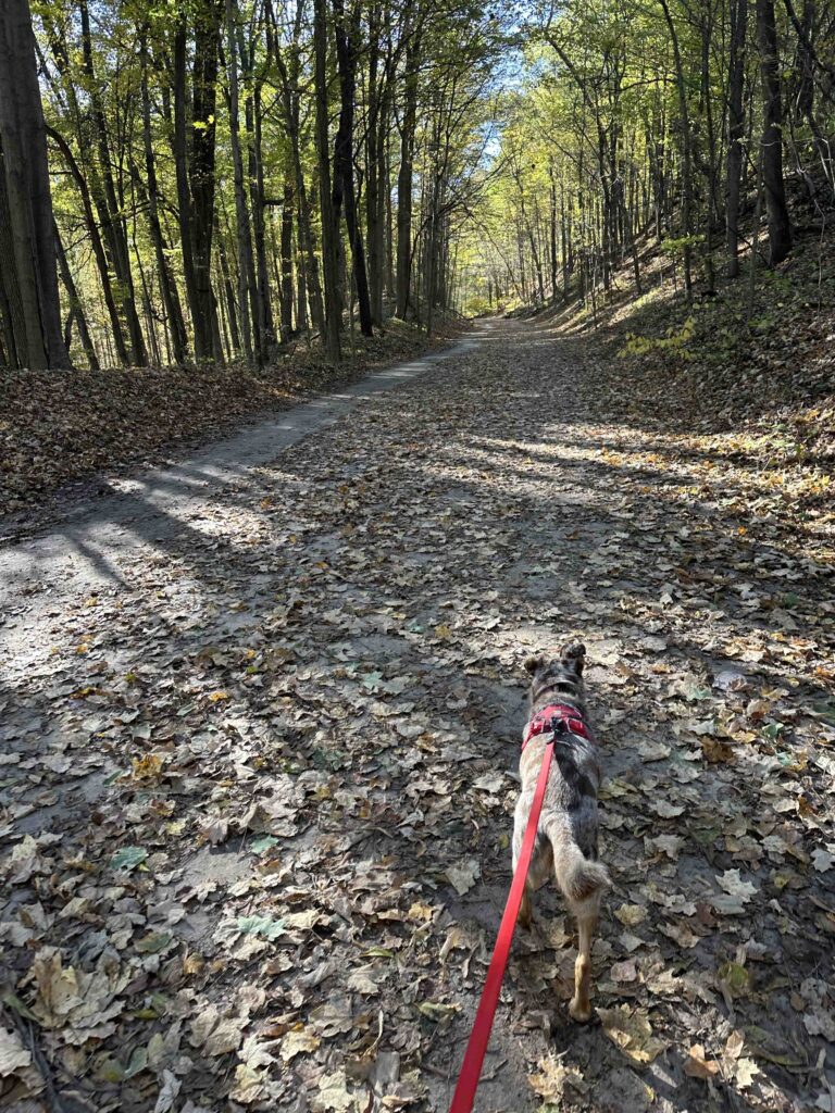 on the trail at Kal-Haven State Park
