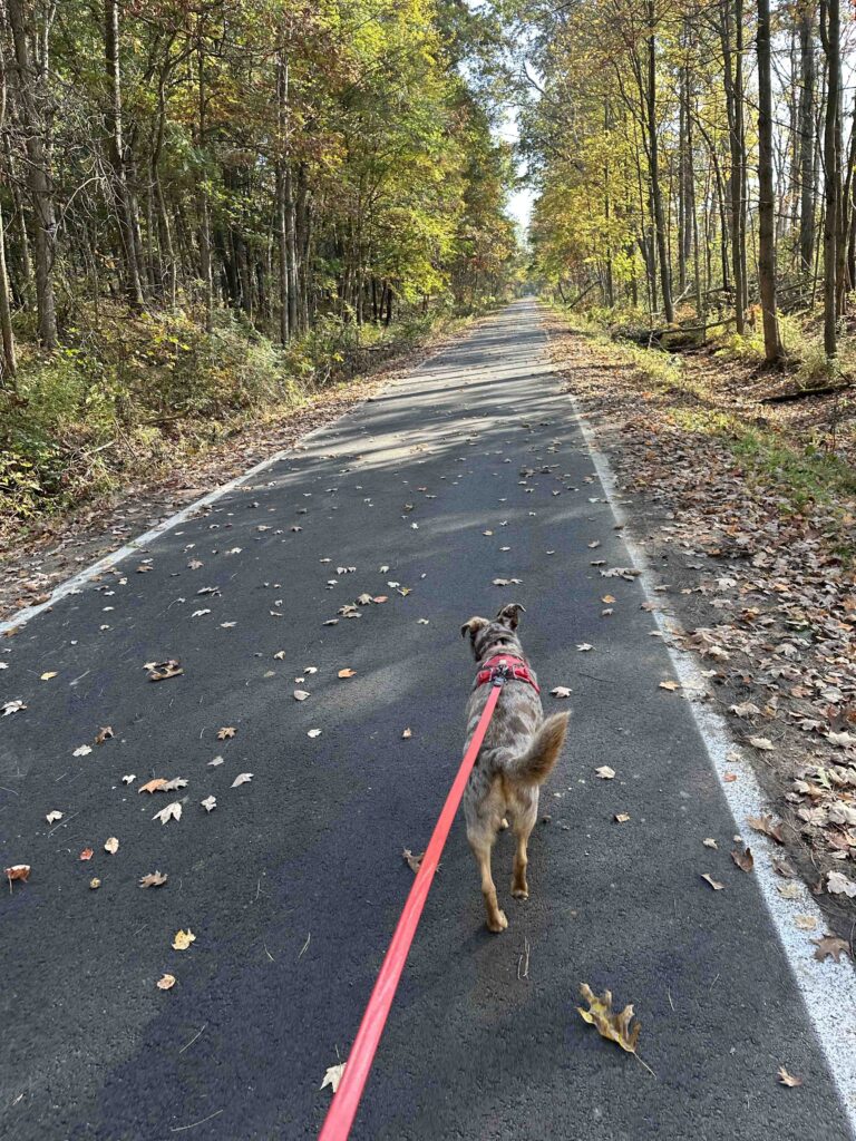 on the Wabash Cannonball Trail