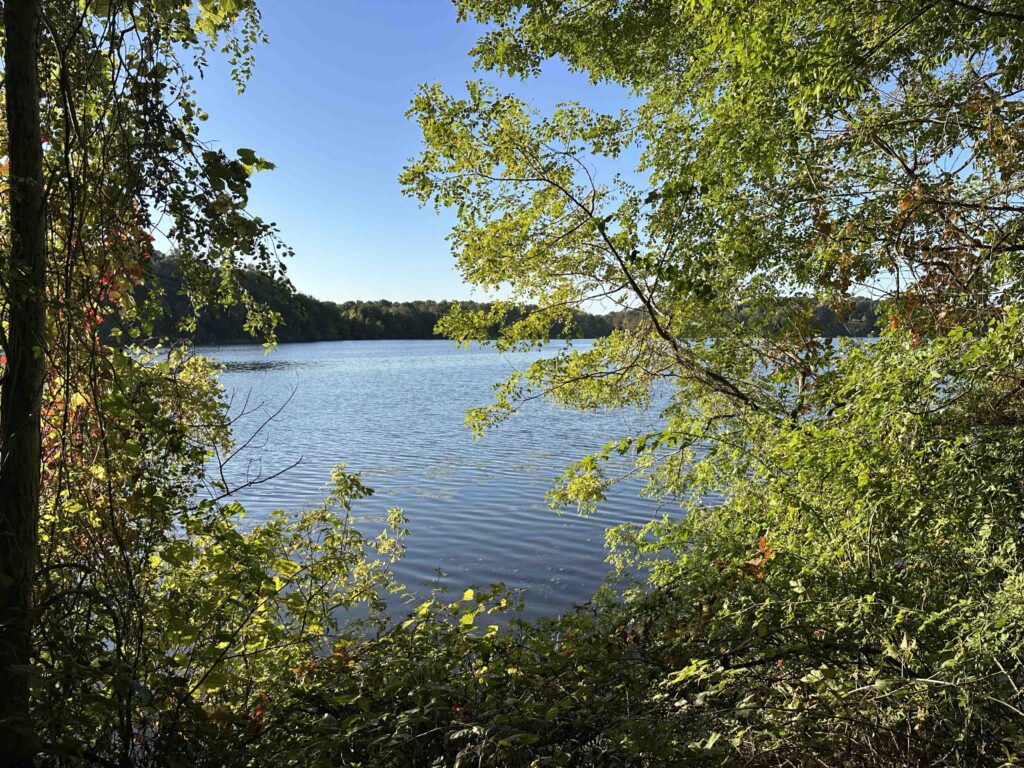 View of Worster Lake from Potato Creek State Park