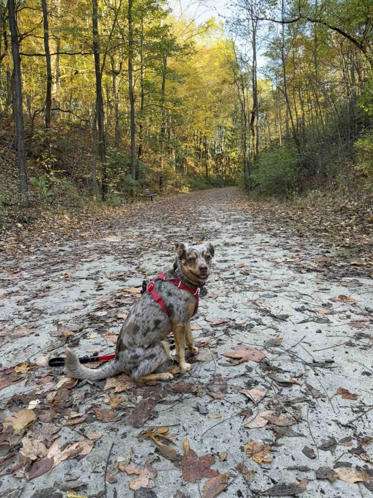 all smiles at Kal-Haven State Park