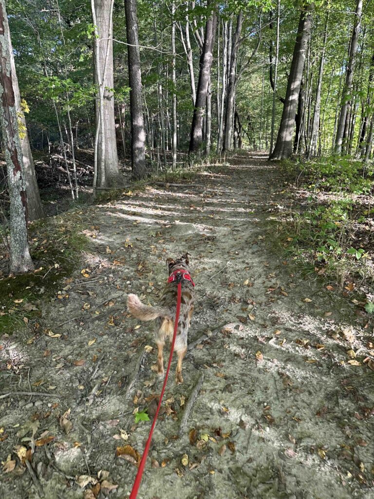 on the trail