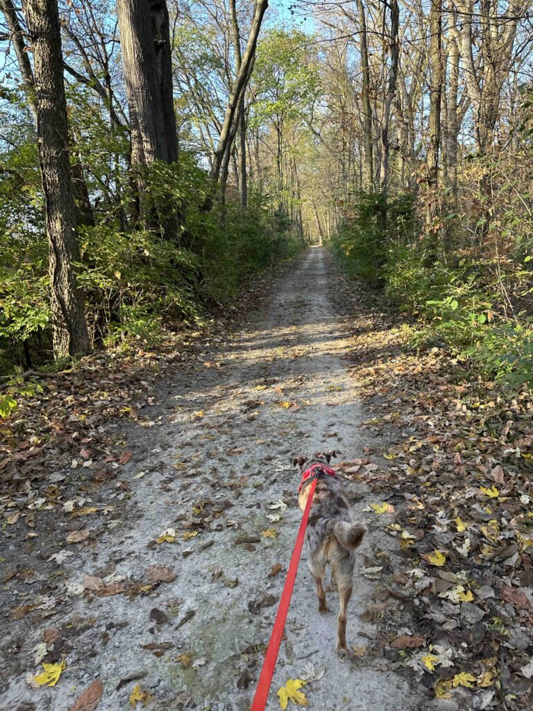 on the Towpath trail