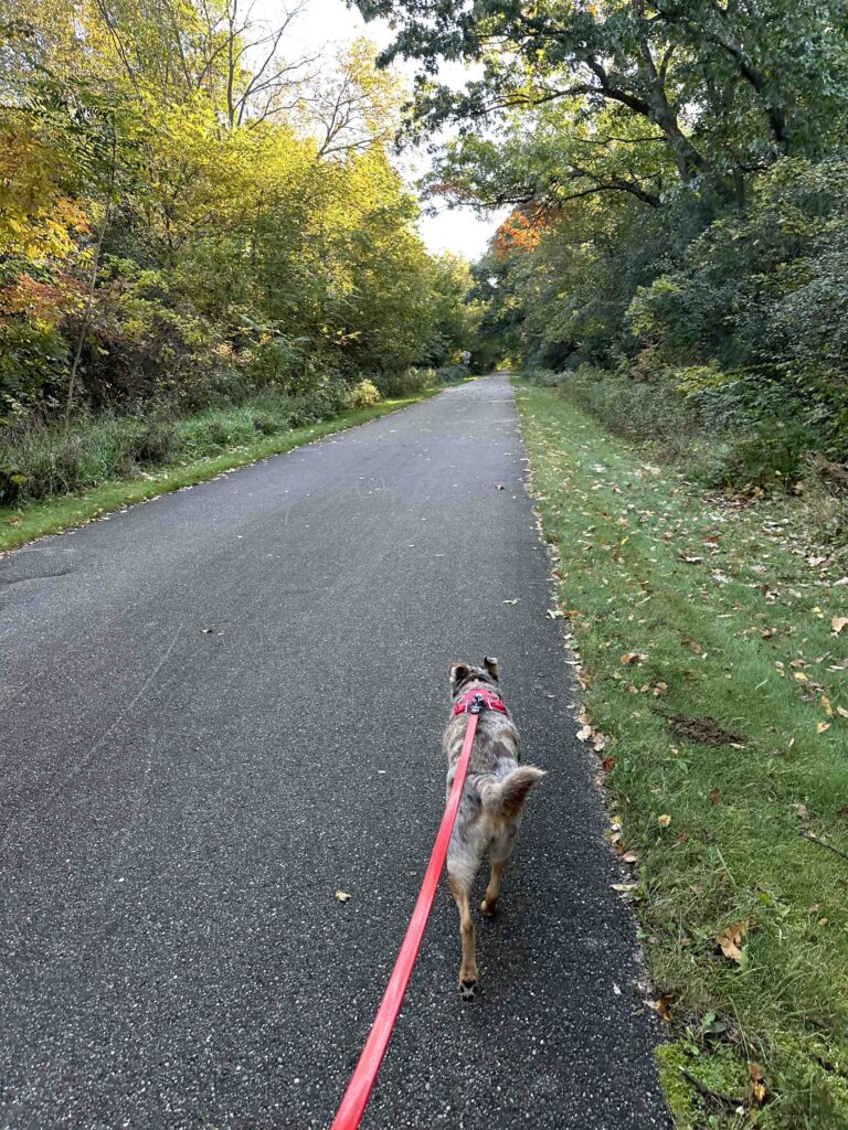 on the trail